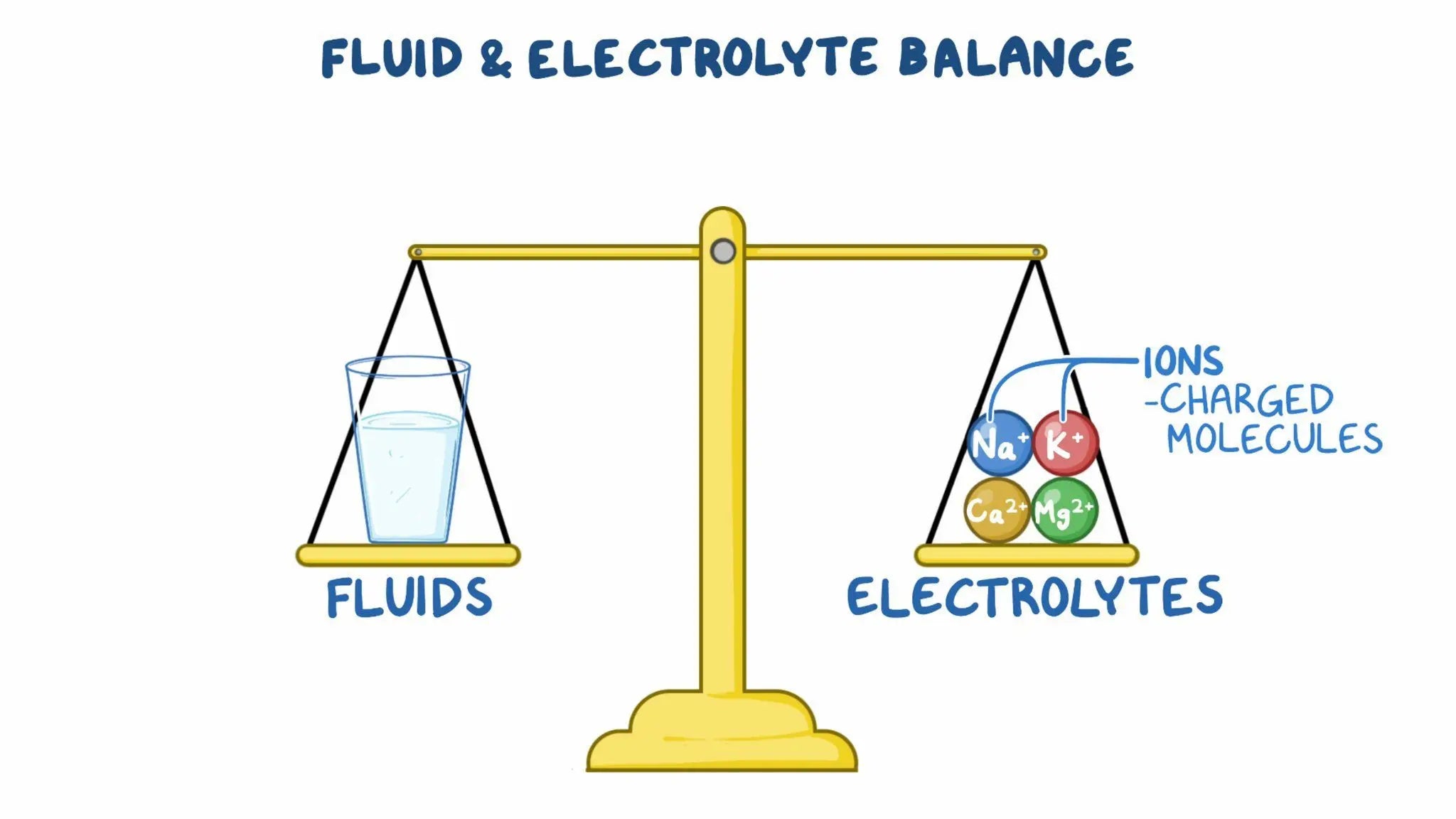 Why Electrolytes Matter: And Why Supplementing With Them Can Change the Game